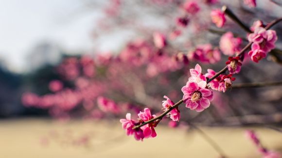 豪爵摩托车有哪些型号
