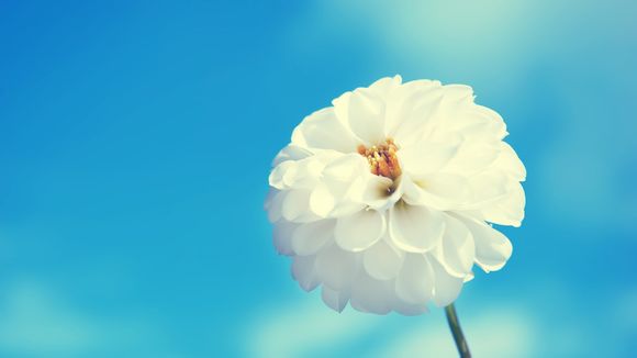 晋中景点大全有哪些