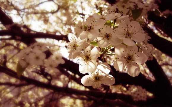 西山公园有什么景点好玩