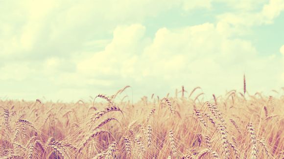 诺艾尔邀约任务第一章成就