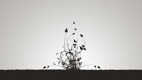 激战2的副本
