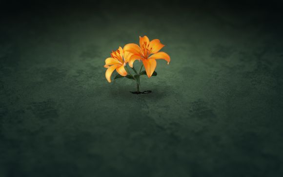 问道坐骑怎么加属性点